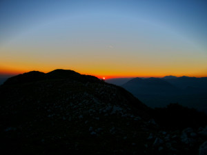 foto-FAGUS_PER-SITO