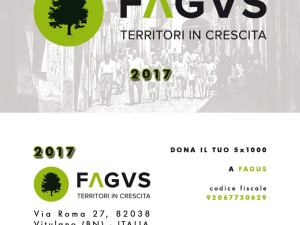 tessera-fagus-2017_web